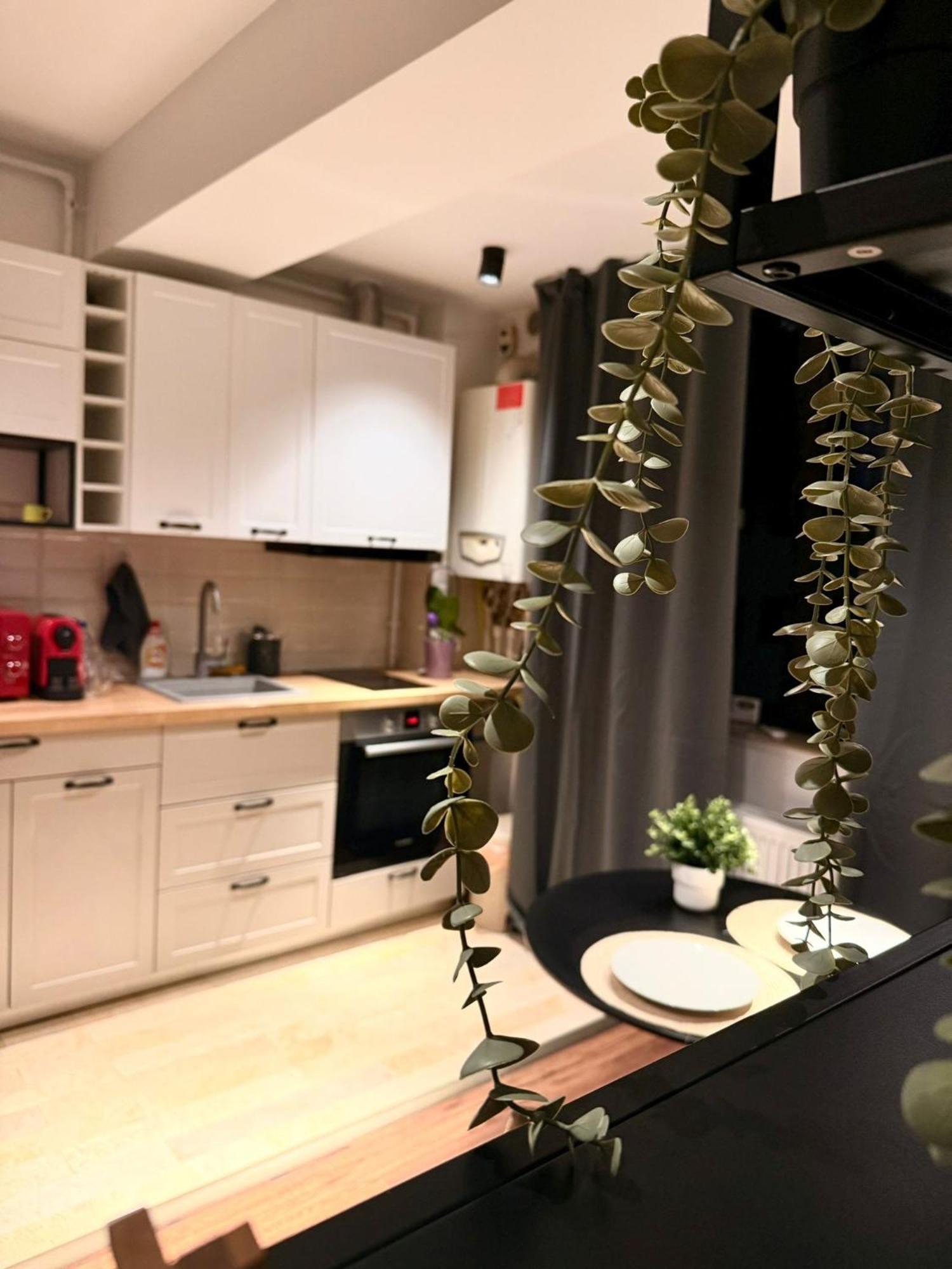 Cozy Apartment With Self Check-In Near Promenada Mall And Verdi Park Бухарест Экстерьер фото